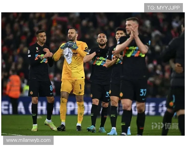 米兰体育网址官方地址查询流程详解及注意事项