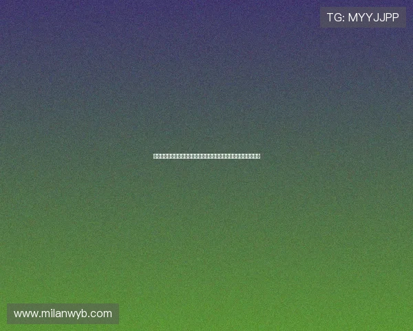 南非世界杯韩国队战术演变与比赛策略分析：从预选到决赛的战术调整